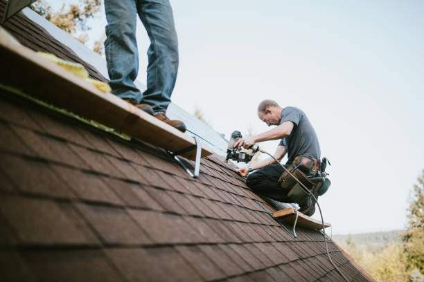 Reliable Palmer Lake, CO Roofing Contractor Solutions